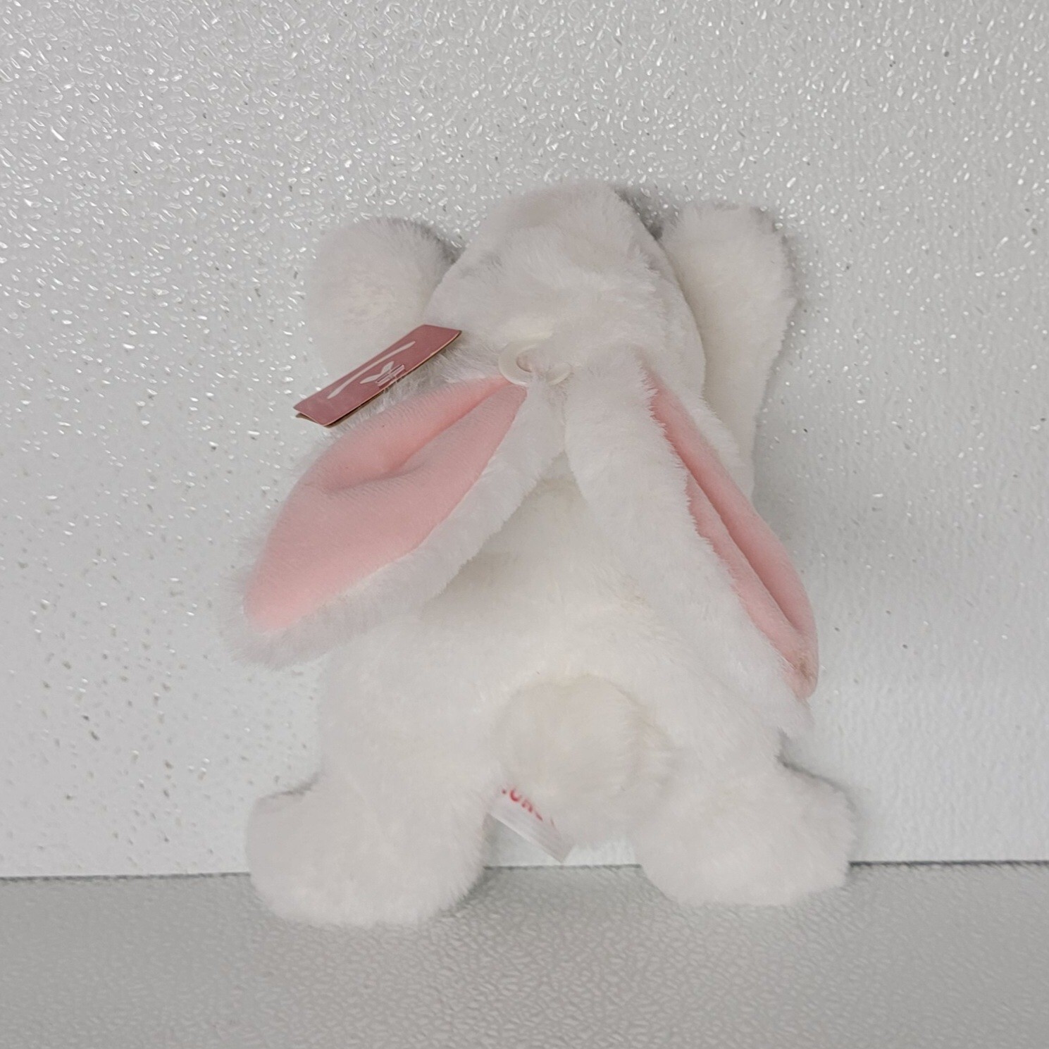 Bild 14 von 19
