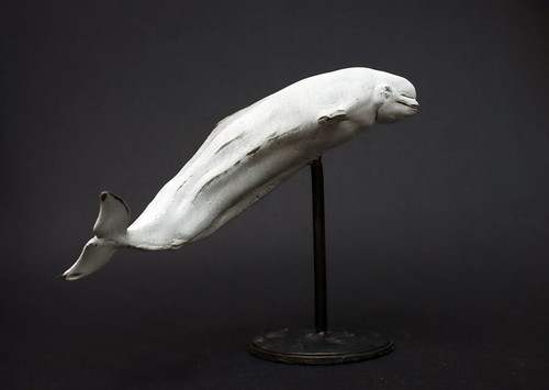 Bronzefigur 'BELUGA WHALE - WEIßWAL' by "RUCHOS" - Limited Edition - Bild 9 von 12