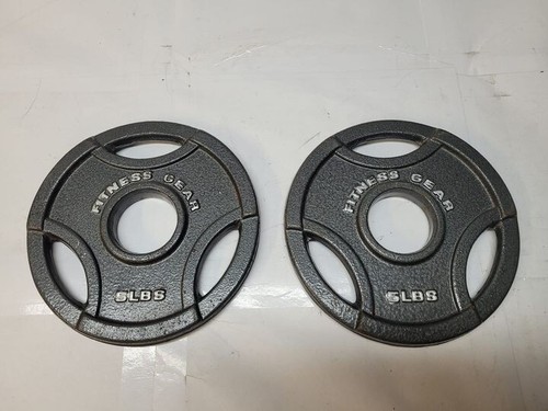 fitness gear 5lb. bar steel weights / r4 d19