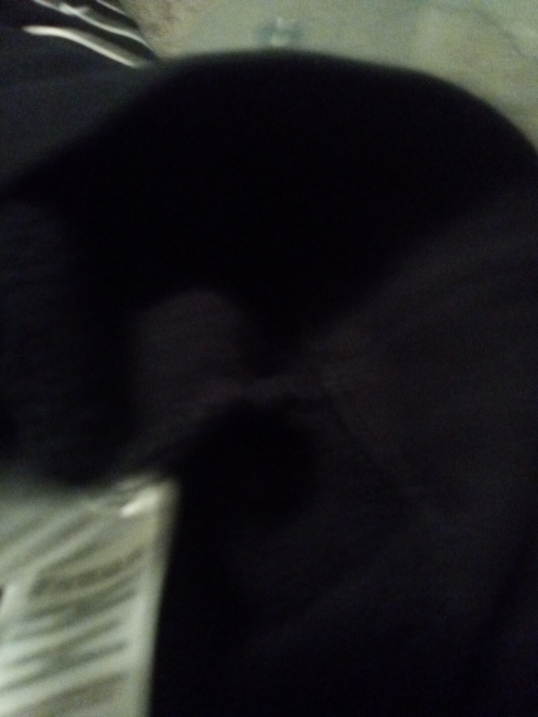 Bild 10 von 10