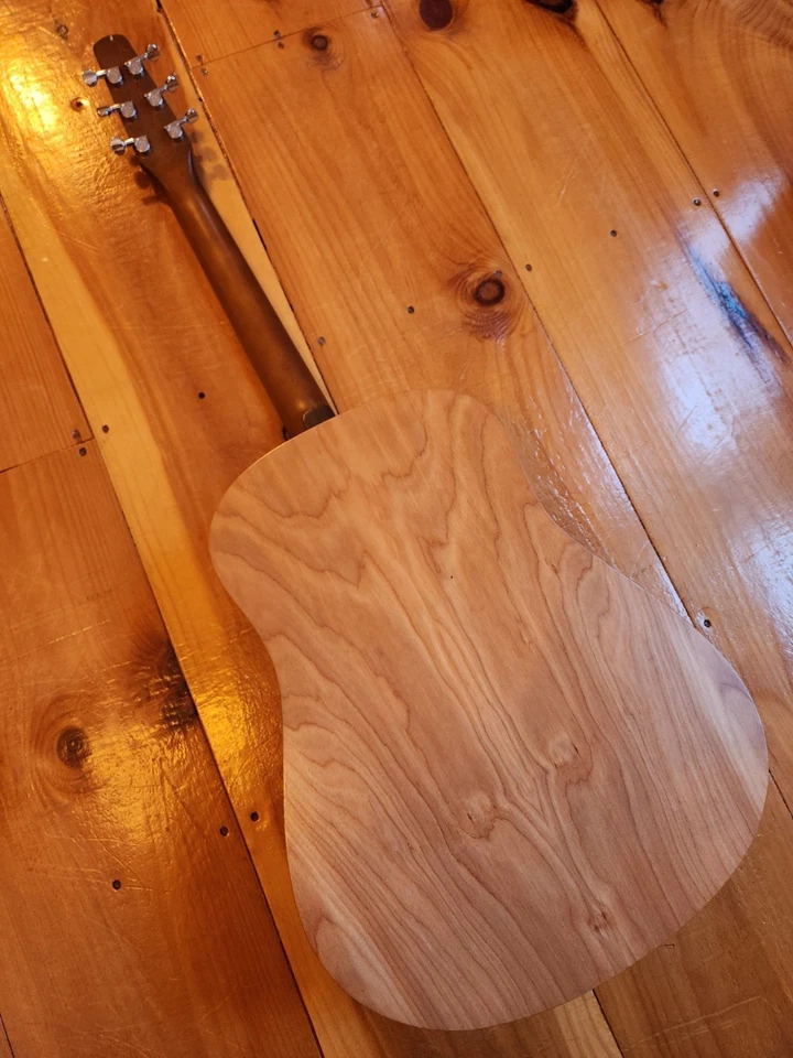 Guitarra Eléctrica Acústica SEAGULL S6 Clásica M-450T, CONFIGURACIÓN COMPLETA, LISTA PARA TOCAR Foto 2 de 4