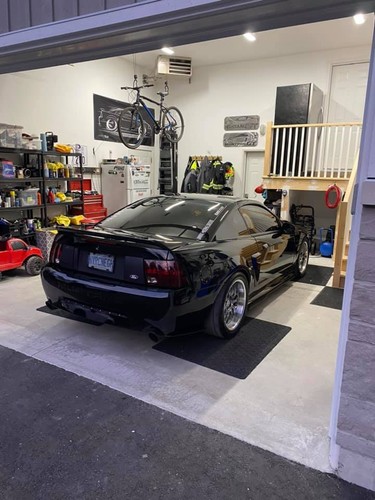 Big Banner Mustang SN95 GT Cobra 1994 1995 1996 1997 1998  Ford SVT 302 4.6 5.0 - Bild 20 von 24