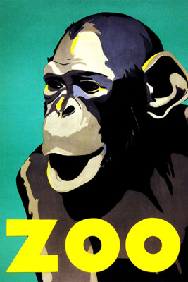 German Zoo Chimps 1950 Vintage Wall Art Home Decor - POSTER 20x30