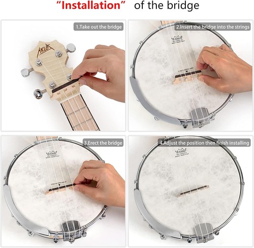 Banjo Ukulele, Concert 23 Inch Remo Drumhead Open Back Maple Body 15:1 ... - Picture 7 of 8