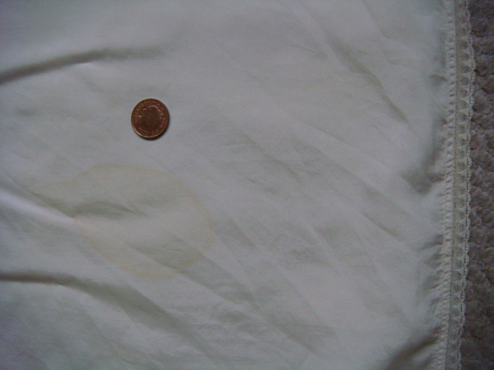 Picture 8 of 11