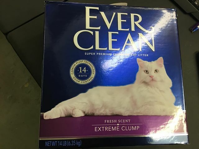 Ever Clean Extra Strength Scented Cat Litter 14 Pounds For Sale Online Ebay