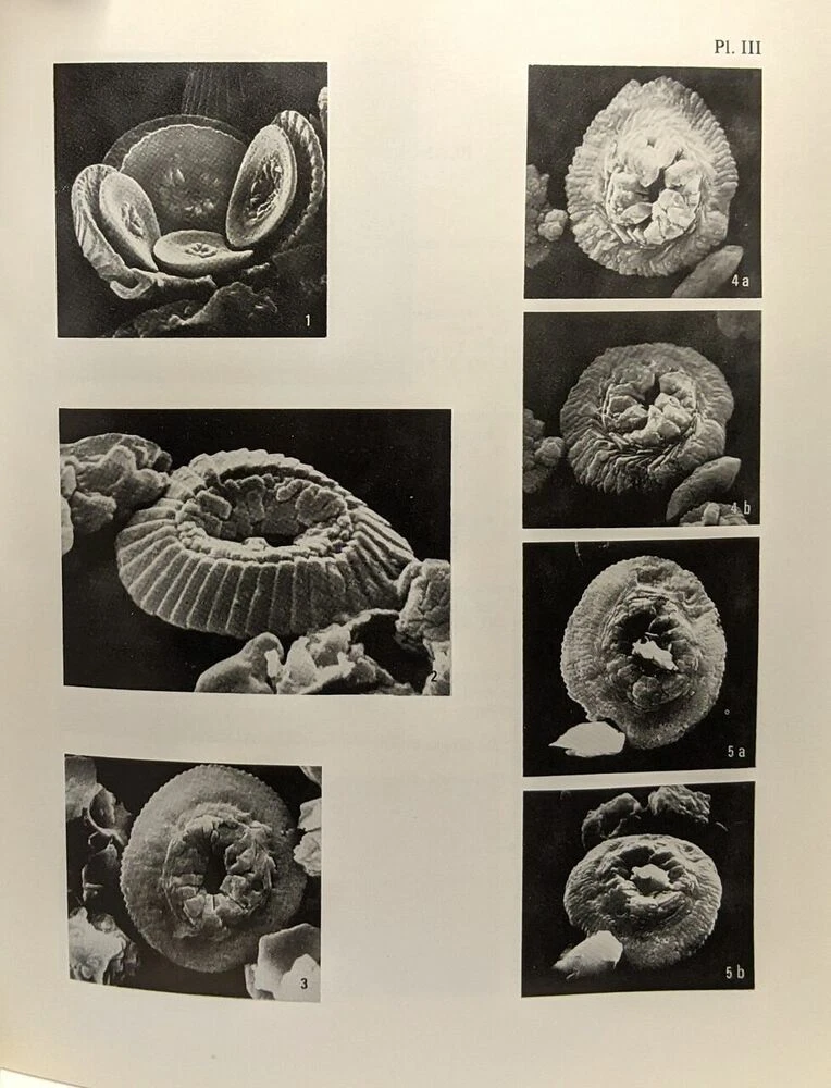 Photo 4/5