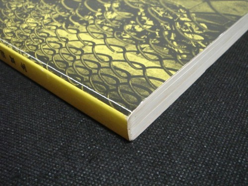 Photo City TOKYO 1995 Noshigeichi / Daido Moriyama / Tokuko Ushioda / Ryuji Miya - Imagen 10 de 10