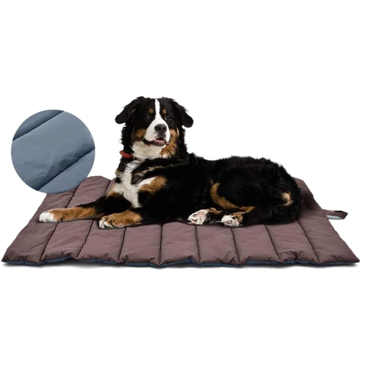 hundefutter magen darm AniForte Magen & Darm-Snack, 300 g  haustierkost.de