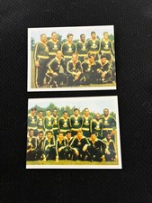 BRASIL PELE DE TODAS AS COPAS TEAM (2) STICKER CARD PANINI SET 2013 NRMT