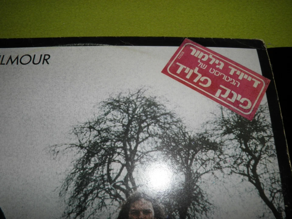 David Gilmour - 1st Album RARE Israel 1st Press Hebrew Print Sleeve ! Misprint ! - Image 2 of 3