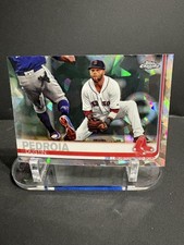 Dustin Pedroia