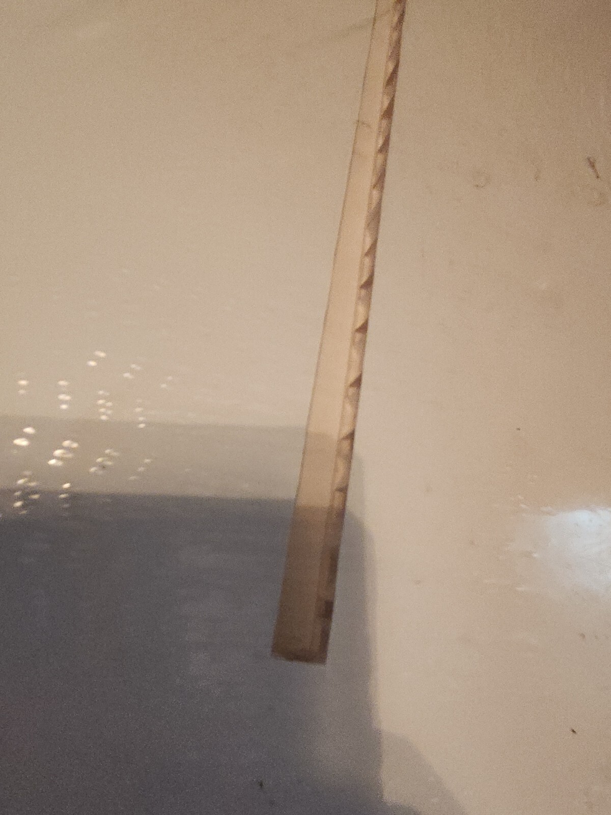 Picture 12 of 13