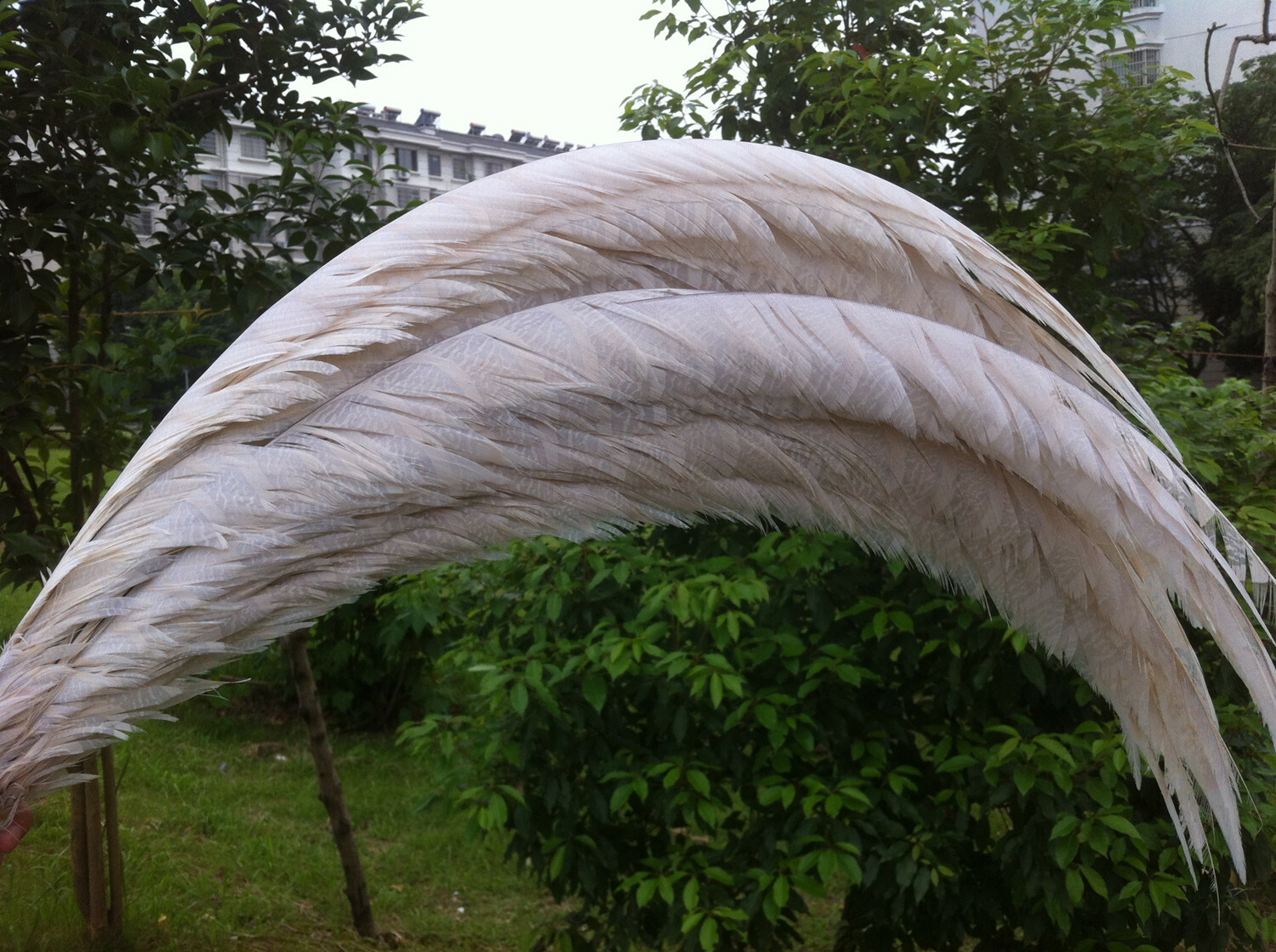 Bild 12 von 15