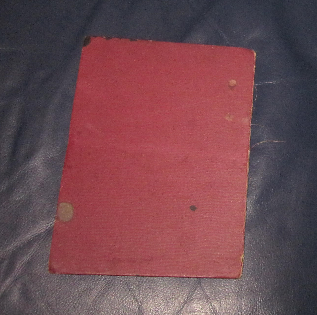 Bild 8 von 8