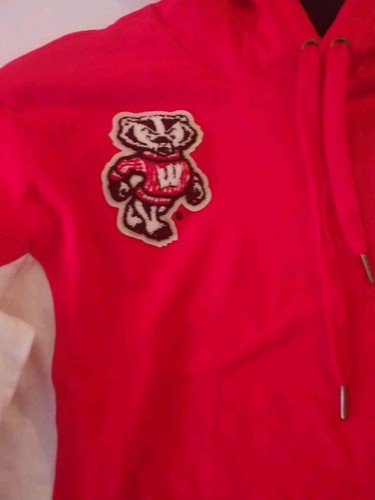 University of Wisconsin Badgers Mitchell And Ness Hoodie Large neu ohne Etikett $ 109,99 UVP - Bild 2 von 6