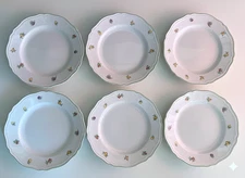 Richard Ginori Eden Dinner Plate 6 pcs 24.5cm/9.6" Porcelain Antico Doccia Italy