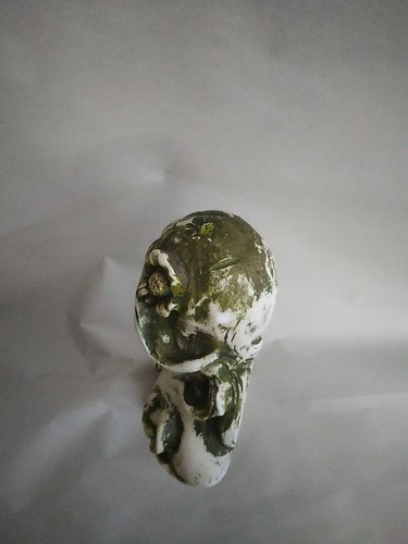 Busto vintage gesso donna fiori piante verde bianco dolce romanticismo Gaia dea 11" - Foto 11 di 12