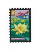 STAMP US SCOTT 4046 "Wonders-Americal Lotus, Largest Flower" 39 CENT 2006 MNH