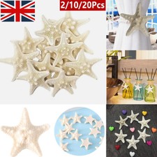 2/10/20x Dried Starfish Beach Craft Wedding Party Home Decor Hanging Ornaments