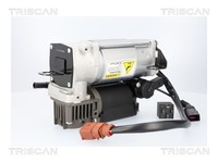 Triscan Kompressor Druckluftanlage 8725 29105 FüR Audi Allroad C5 4BH TDI
