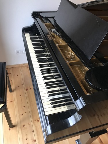 Antike C. Bechstein Flügel Grand Piano - Bild 7 von 16