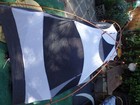 Bild 8 von 19