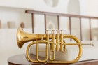 FlugelHorn Brass Bb Flat 4 Valve/With HardCase Mouthpiece BLACK FRIDAY NICE GIFT