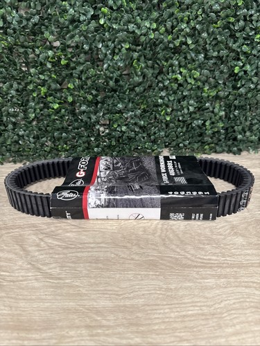 Gates G Force Drive Belt 40G3691 - Picture 5 of 6