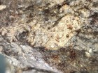 Foto 14 di 24