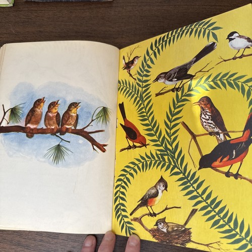 A Child’s Book Of Birds Vintage Kids Book 1946 1st Ed by Luis M. Henderson FARM - Picture 10 of 12