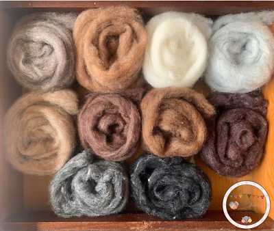 Heidifeathers® 'Menagerie Mix' 10 Natural Carded Slivers - Animal Felting Wools
