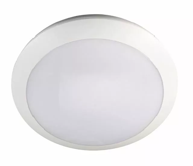 Outdoor oyster light online