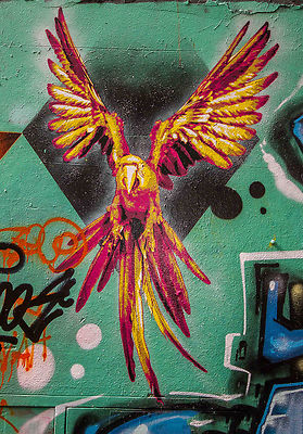 Parrot Bird, Street Art Print Poster for Glass Frame