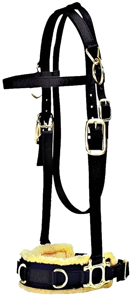 Black Nylon Halter Caballo headcollars