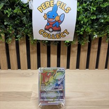 🇫🇷 Carte Pokémon Arceus Vstar 176/172 EB09 Stars Etincelantes FR