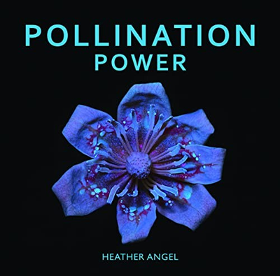 #ad Pollination Power by Heather Angel Book The Fast Free Shipping $9.10