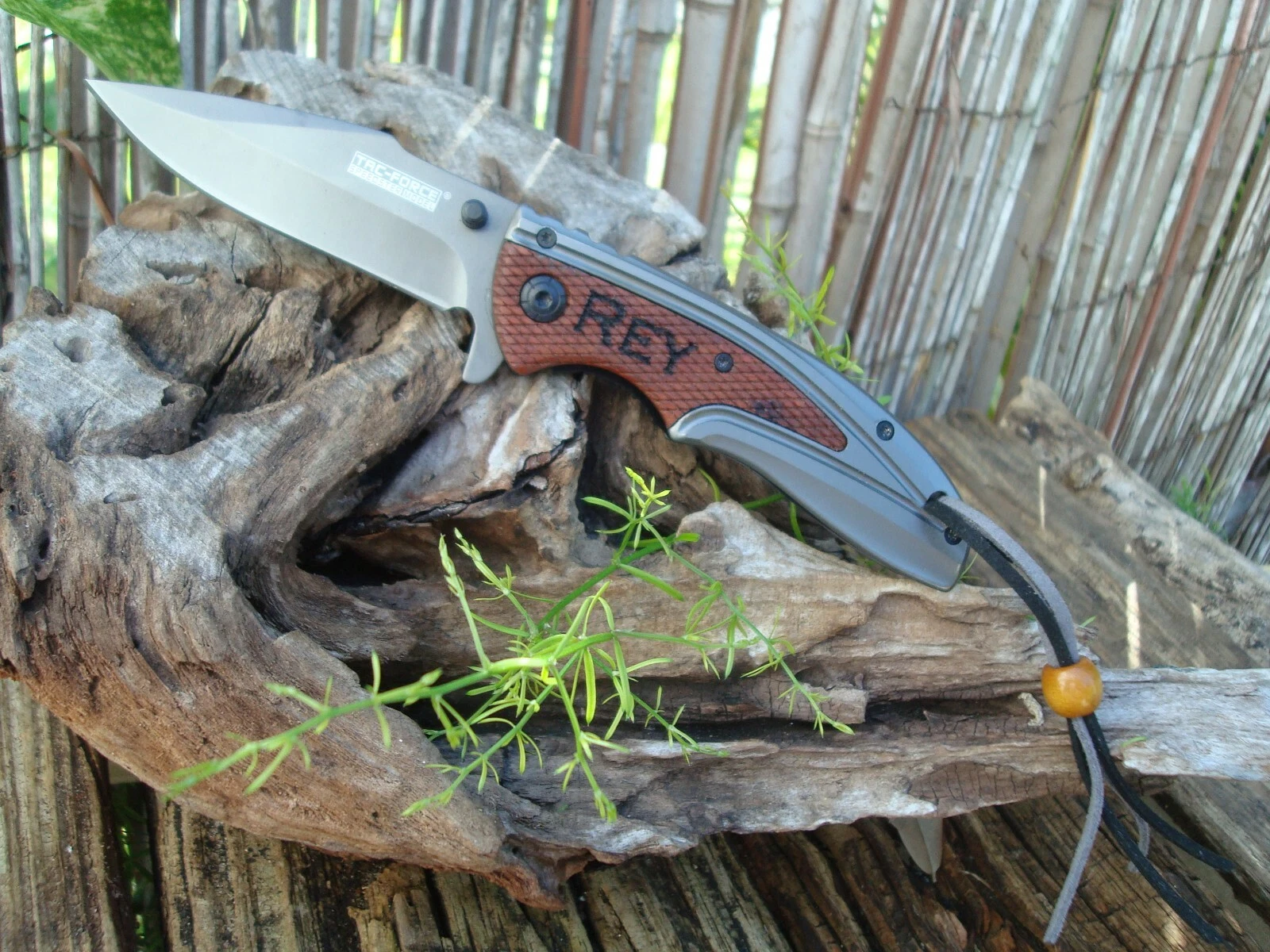 Picture 4 of 6