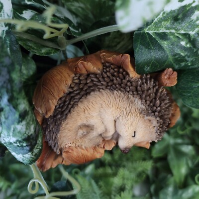 Vivid Arts - Igel Pflanze Pal