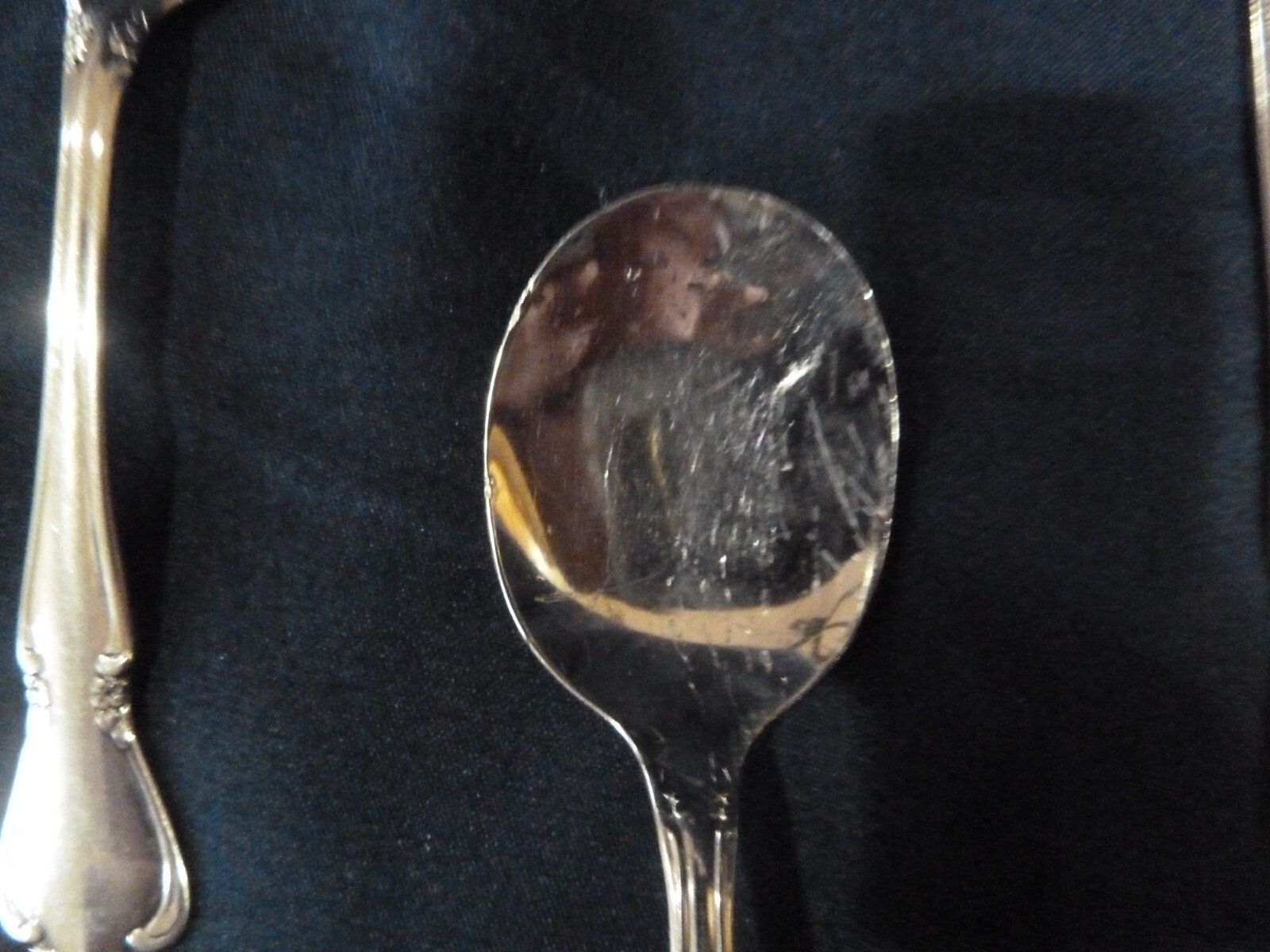 Picture 4 of 5
