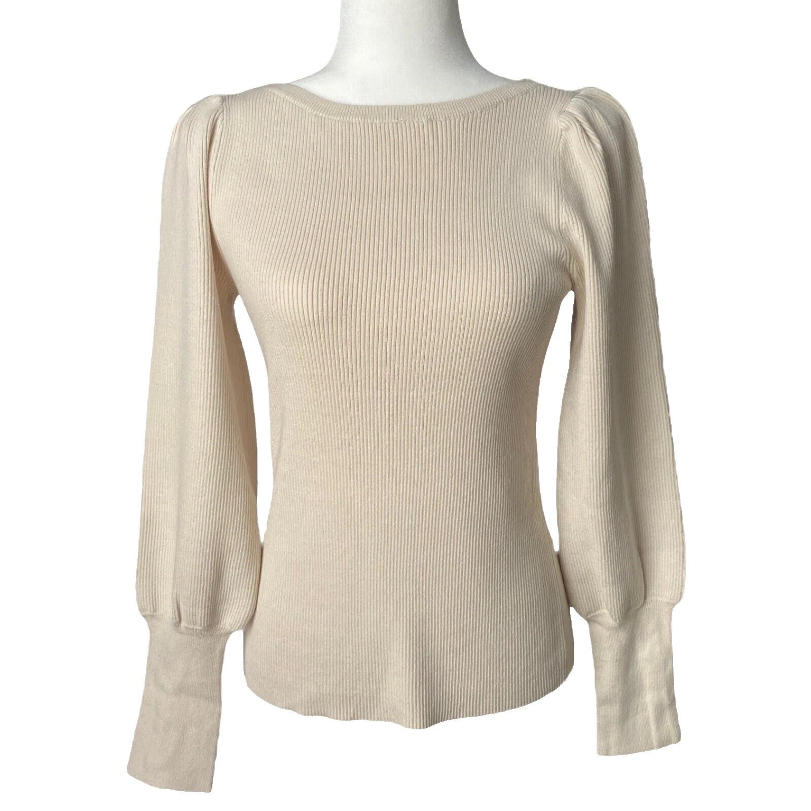 Ann Taylor 聚酯纤维褐色羊毛衫