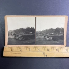 Cutting Down the Rainforest in Brazil for Farms Stereoview Antique c1920s Y6230