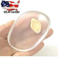 3pc Silisponge Silicone Sponge Makeup Blender Applicator Concealer Contouring