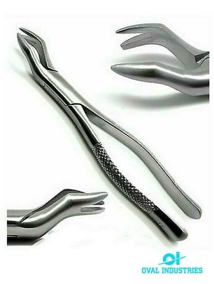 Pinza Dentale Acciaio Inossidabile Pinza Dentale Per Estrazione Denti #151S - Acciaio Inox Per Dentisti E Laboratori Odontotecnici Pinza Dentista 151S - Foto 8