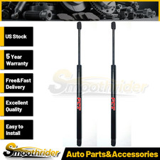 Focus Auto Parts 2pcs Liftgate Lift Support For Ford Focus 2000-2005 2006 2007