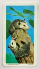 Virginia Opossum No 3 Animals and Their Young Red Rose Tea Card II031