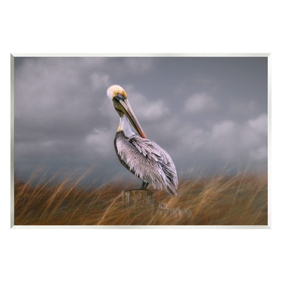 Wildlife Pelican Bird Cloudy Sky Wall Plaque Art, Design by Kelley Parker