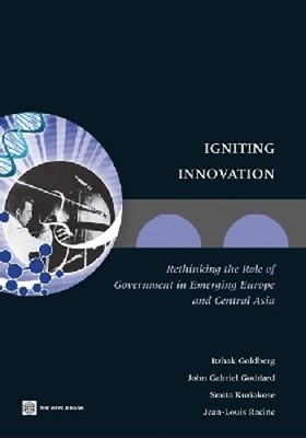 Itzhak Goldberg Igniting Innovation (Paperback)