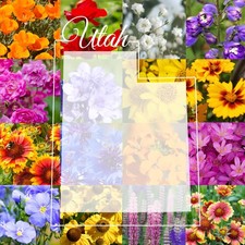 Utah Wildflower Seed Mix, 1 lb Covers 3,200 sq ft, Multi-Color Blooms, Spring... 40.84 per gallon