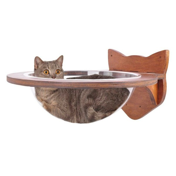 floating cat bed